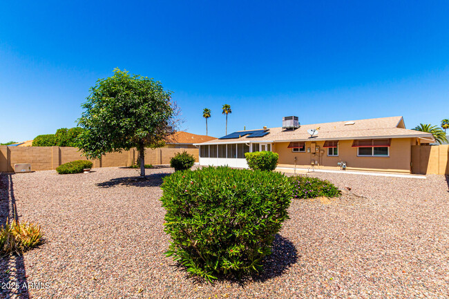 10319 W Floriade Dr in Sun City, AZ - Building Photo - Building Photo