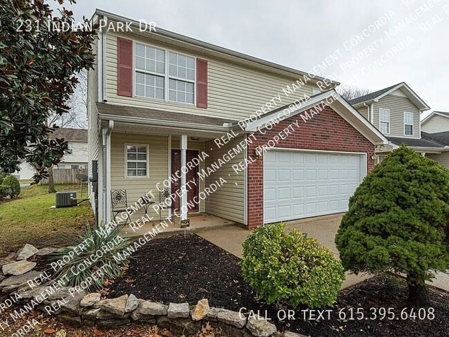 property at 231 Indian Park Dr