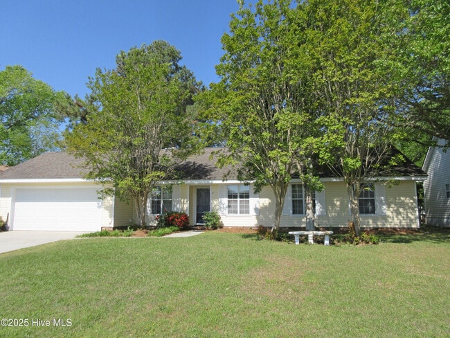 property at 310 Celtic Ash St