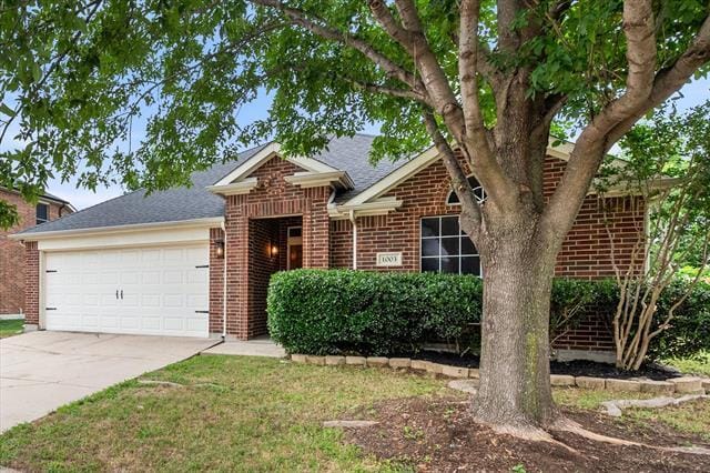 1003 Rosita St in Arlington, TX - Building Photo - Building Photo