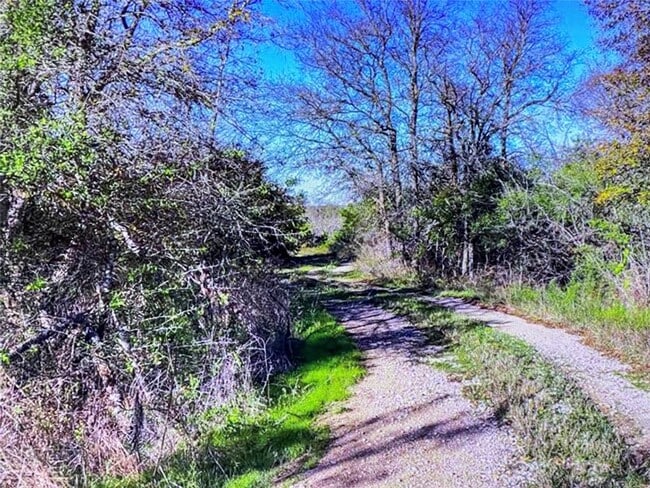 6164 Farm to Market 535 in Cedar Creek, TX - Building Photo - Building Photo