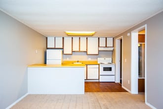 Carriage Hill Apartments in Medina, OH - Building Photo - Building Photo