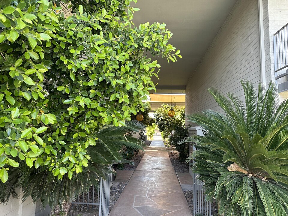1107 W Osborn Rd in Phoenix, AZ - Building Photo