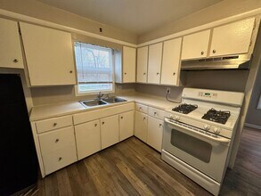 119 Sutton St SW in Grand Rapids, MI - Building Photo - Building Photo