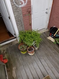 1527 Cecil B. Moore Ave, Unit 2 photo'