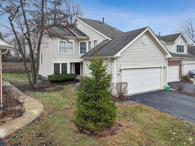 310 Spring Creek Cir in Schaumburg, IL - Building Photo - Building Photo