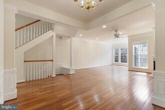 5161 Sapphire Sky Ln in Centreville, VA - Building Photo - Building Photo