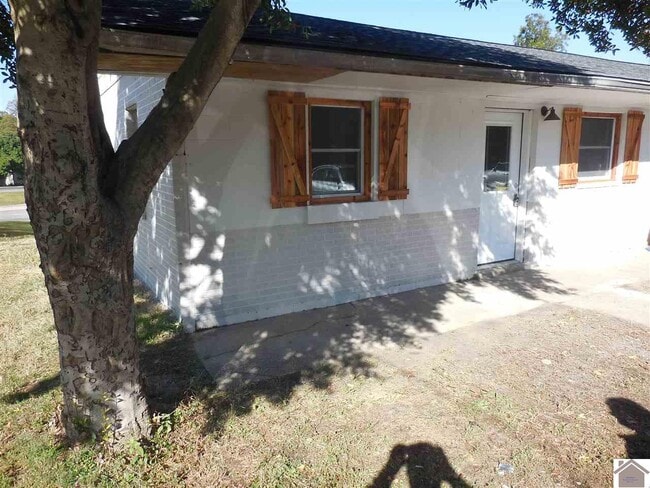 317 5th St in Wickliffe, KY - Building Photo - Building Photo