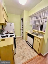 5806 Royal Ridge Dr in West Springfield, VA - Building Photo