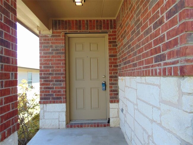 251 Wolfberry Path in Buda, TX - Building Photo - Building Photo