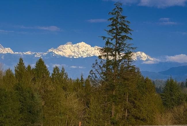 property at 10103 16th Pl SE