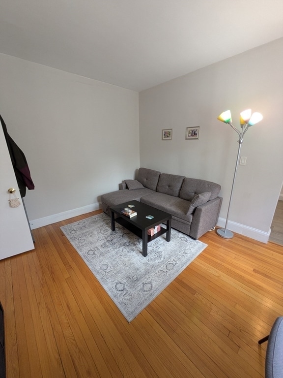 370 Chestnut Hill Ave in Boston, MA - Building Photo - Building Photo
