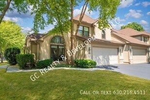 100 Chatsworth Cir in Schaumburg, IL - Building Photo