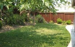 663 Cherry Tree Way in Brentwood, CA - Building Photo - Building Photo