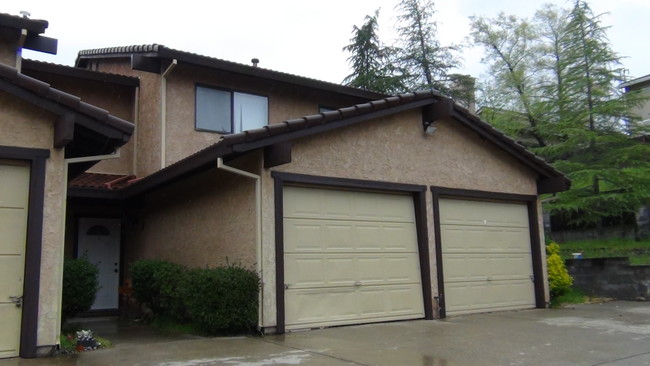 1137 Brandon Ct in Redding, CA - Building Photo - Other