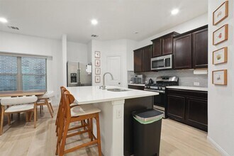 1107 Cadence Dr in Pflugerville, TX - Building Photo - Building Photo