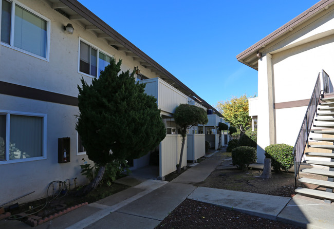 Villa Caprice in Fremont, CA - Foto de edificio - Building Photo