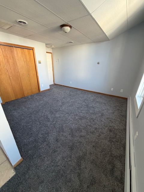 205 Plum St in Red Wing, MN - Building Photo - Building Photo