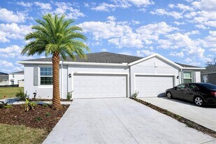 31101 Mango Fade Wy in San Antonio, FL - Building Photo