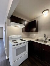 249 Chestnut St in Wyandotte, MI - Building Photo - Building Photo