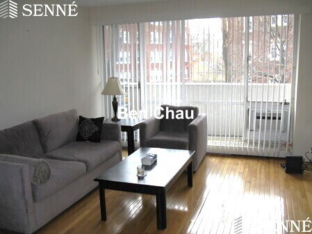 29 Concord Ave, Unit 314 in Cambridge, MA - Building Photo - Building Photo