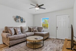 3909 W Cleveland St, Unit ID1371161P in Tampa, FL - Building Photo