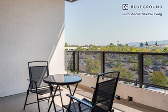 3560 Rambla Pl in Santa Clara, CA - Building Photo - Building Photo