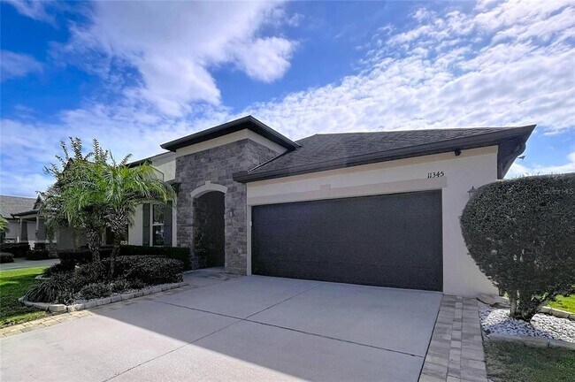 11345 American Holly Dr in Riverview, FL - Foto de edificio - Building Photo