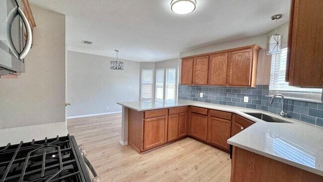610 Sparkling Brook Ln in Leander, TX - Building Photo - Building Photo