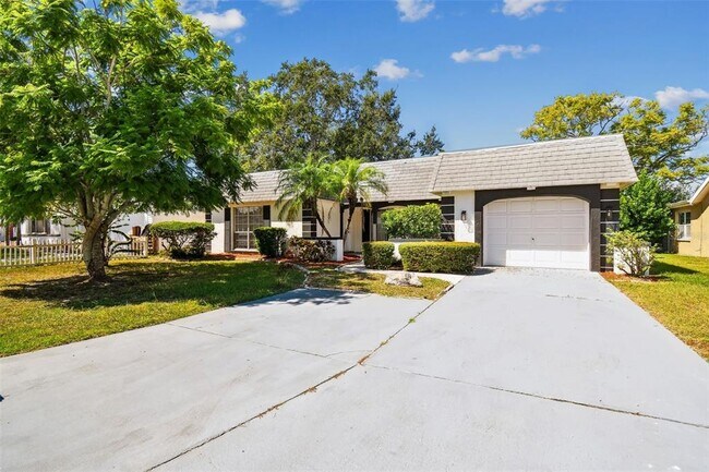 3513 Landale Dr in Holiday, FL - Building Photo - Building Photo