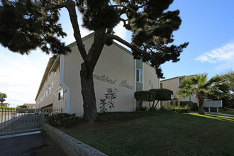 Carlsbad Pines Apartments in Carlsbad, CA - Building Photo - Building Photo