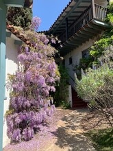 3117 Silverado Dr in Los Angeles, CA - Foto de edificio - Building Photo
