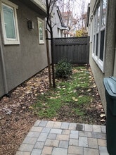 319 W Tuscan Ln in Mountain House, CA - Building Photo - Building Photo