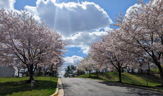 Stewartown Homes in Gaithersburg, MD - Building Photo - Building Photo