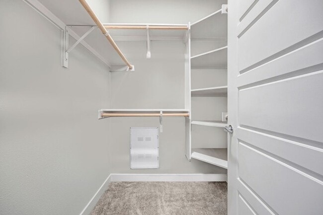 Brightleaf at Lakeline