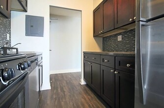 1301 N Ritchie Ct in Chicago, IL - Foto de edificio - Building Photo