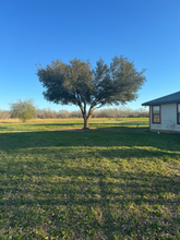 243 CR 2020 in Pearsall, TX - Building Photo - Building Photo