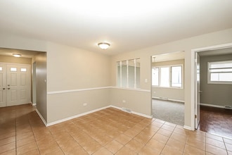 5302 Otto Pl in Oak Lawn, IL - Building Photo - Building Photo