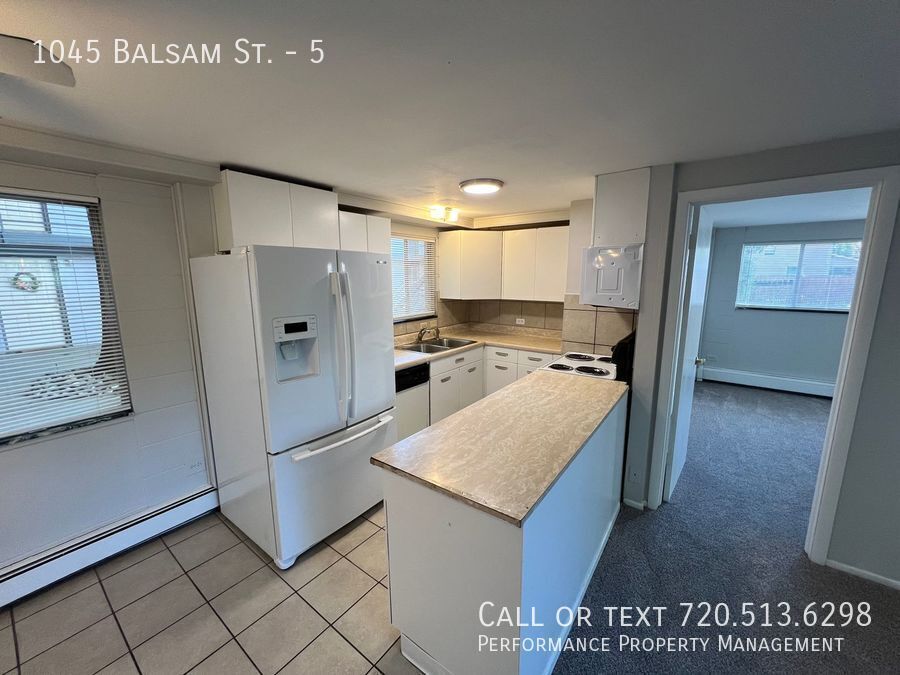 1045 Balsam St in Lakewood, CO - Building Photo