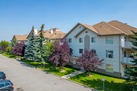 20 Harvest Rose Pike NE in Calgary, AB - Building Photo - Building Photo