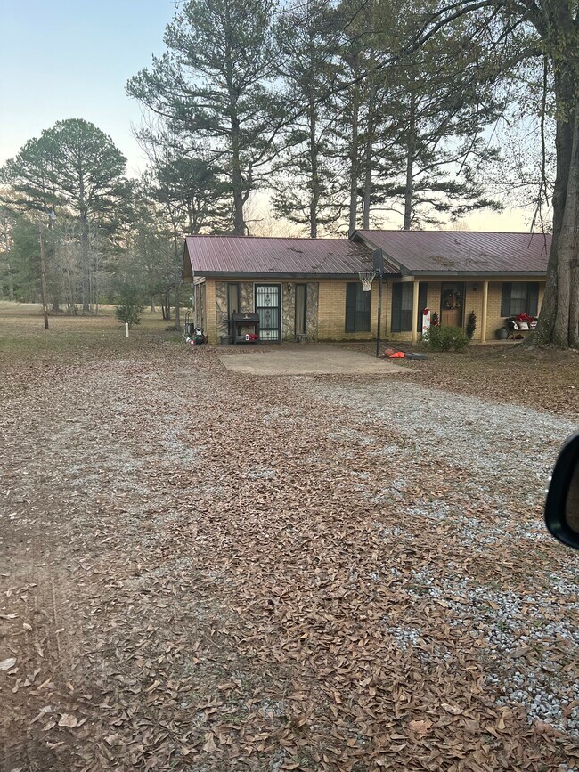 3780 Co Rd 700 in Blue Mountain, MS - Building Photo - Building Photo