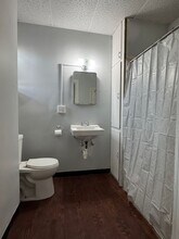 155 N Main St in Manteno, IL - Building Photo - Building Photo