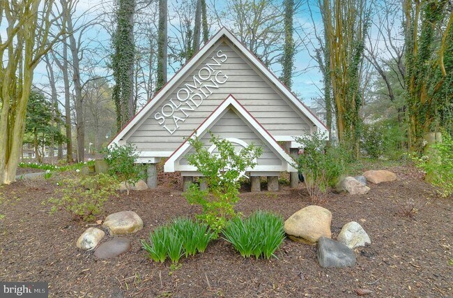 252 Driftwood Ln in Solomons, MD - Building Photo - Building Photo