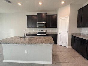 17005 AVON Ln in Wimauma, FL - Building Photo - Building Photo