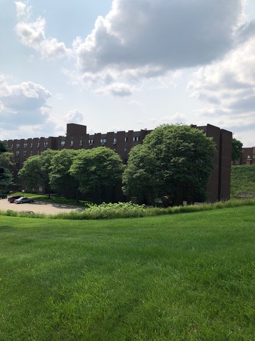 Brinton Towers in Pittsburgh, PA - Building Photo - Building Photo