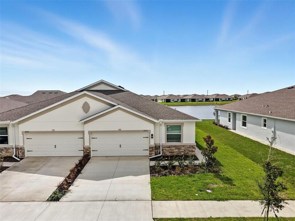 31434 Paper Birch St in Wesley Chapel, FL - Building Photo