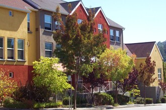 Lone Palm Court Apartments in San Rafael, CA - Building Photo - Building Photo