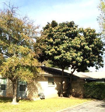 2006 Gathright Cove in Austin, TX - Building Photo