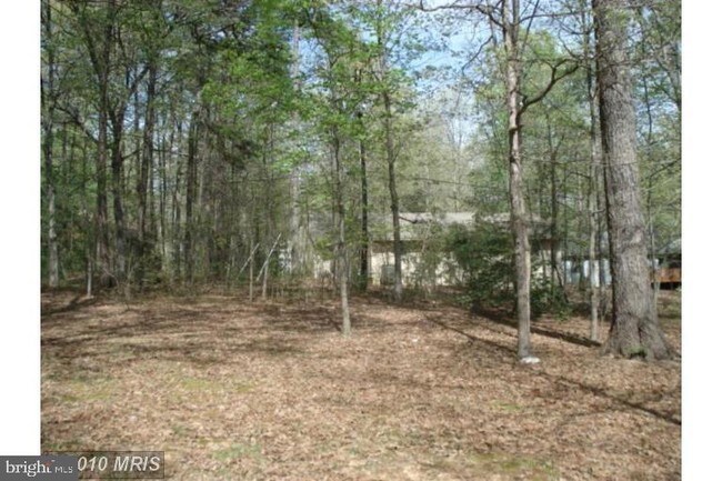 105 Birdie Rd in Locust Grove, VA - Building Photo - Building Photo