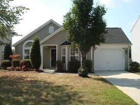 10132 Orchard Grass Ct in Charlotte, NC - Building Photo